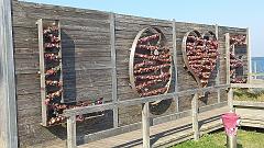 Sylt (95)